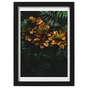 Croton Print