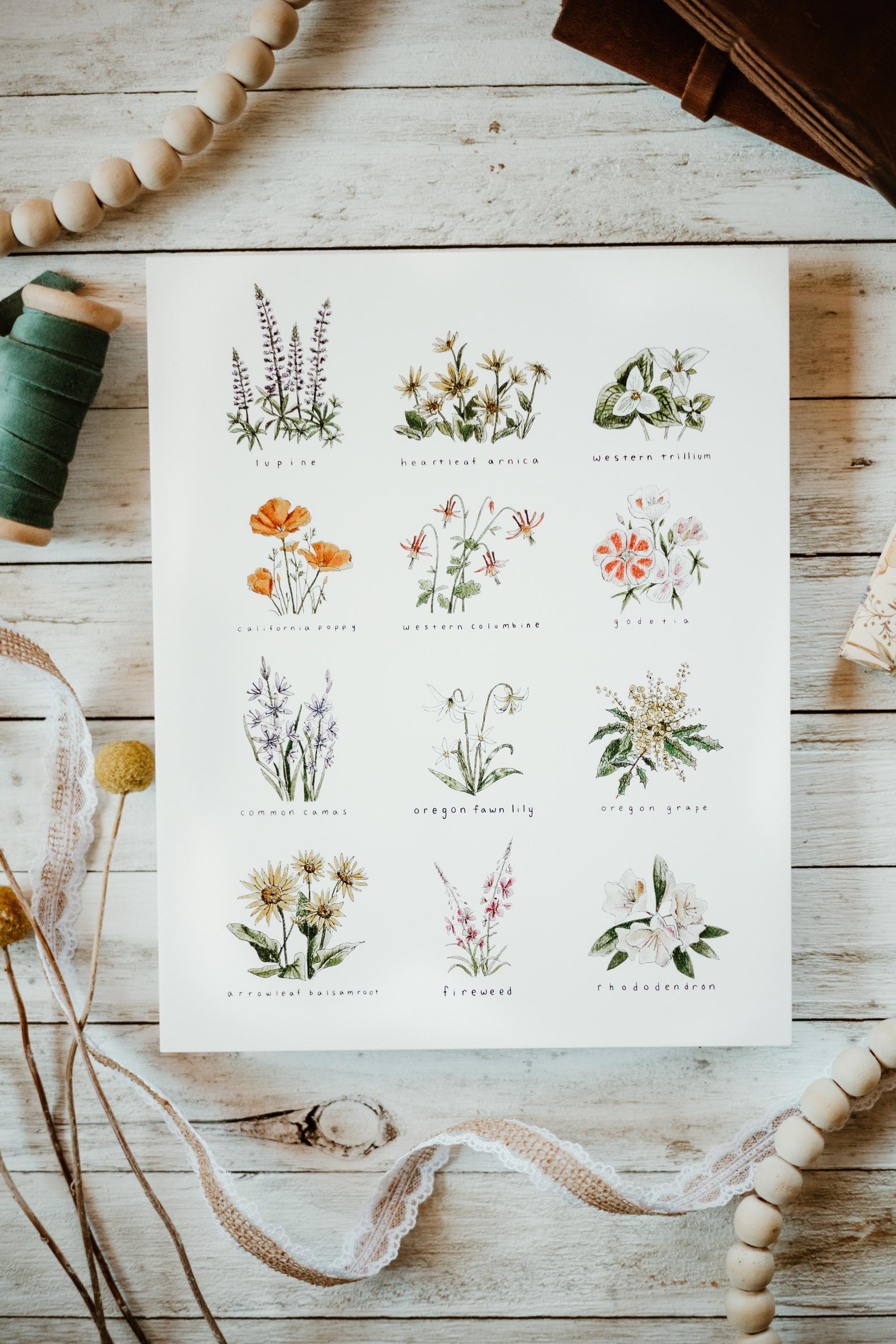 PNW Wildflower Fine Art Giclee Print - 8x10 print - originally hand drawn in pencil and pen
