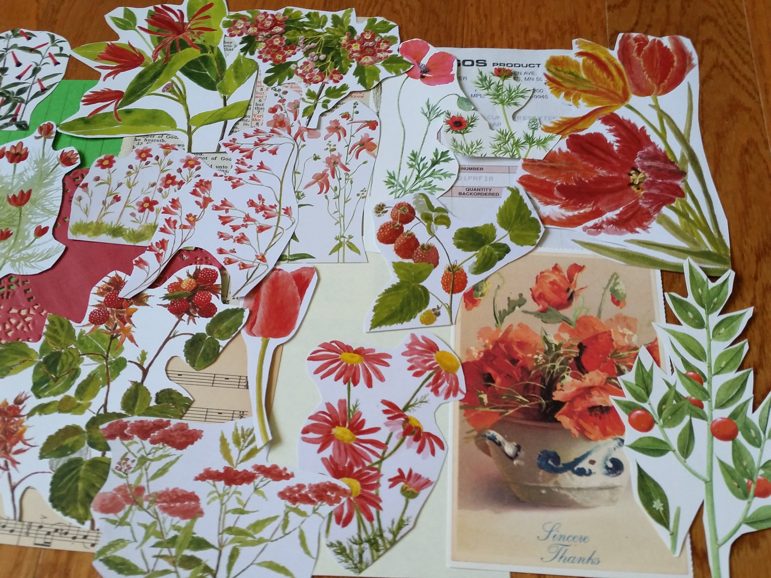 Unique Vintage Red Flower Botany Ephemera Pack Paper Ephemera Etsy