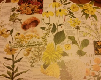 May include: A collage of vintage botanical illustrations featuring various yellow flowers, including daisies and dahlias, set against a backdrop of aged book pages. A woman in a hat is also featured.