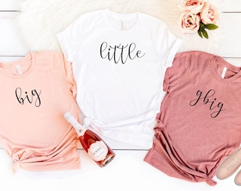 disney big little shirts