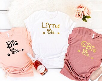 disney big little reveal