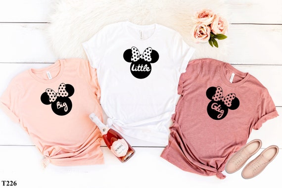 Disney big little best sale reveal