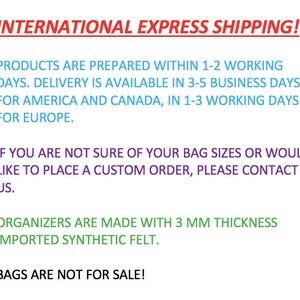 For Petit Noe bag organizer, Purse insert, Handmade, Custom design, quality and EXPRESS SHIPPING image 9
