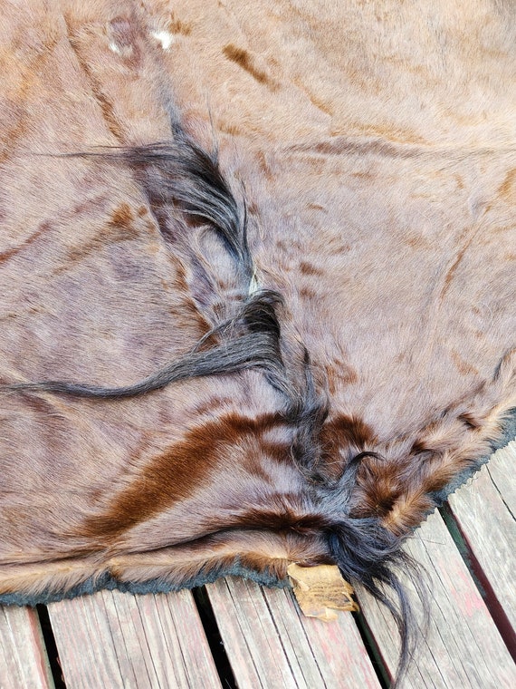 Antique carriage blanket sale