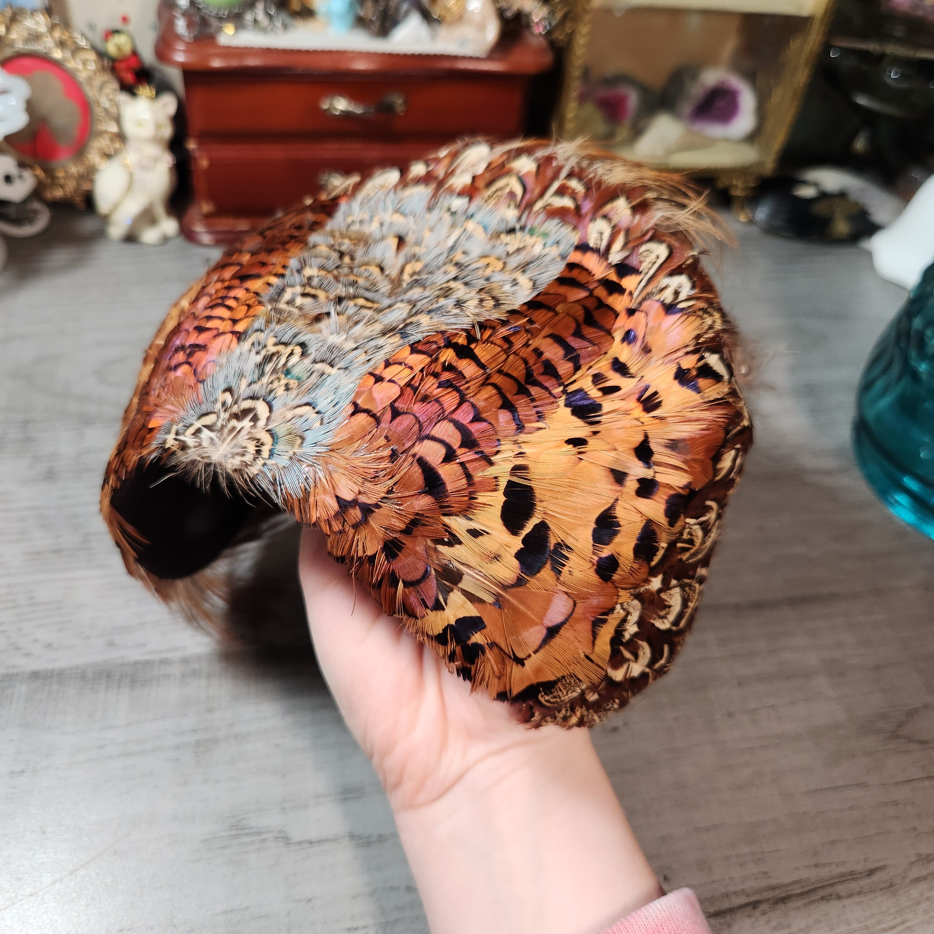 Vintage pheasant feather fascinator hat 1950s Vintage Multicolor Pheasant Feather Headpiece Striking  main image 3