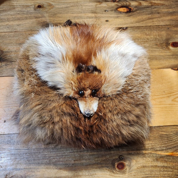 Vintage red fox fur muff XL real fur muff 1920s 1930s 1940s real fox fur muff adult size discounted for shedding damages