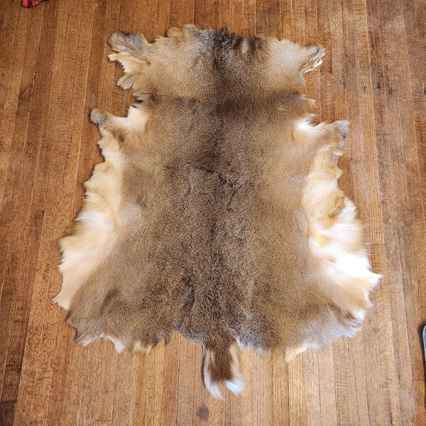 Whitetail Deer Hide Etsy