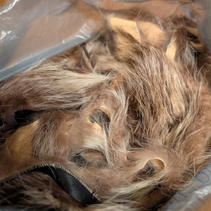 May include: A collection of brown and tan fur, possibly from an animal pelt, is contained within a clear plastic bag. The fur appears soft and has varying shades of brown and tan. A black leather zipper is visible.