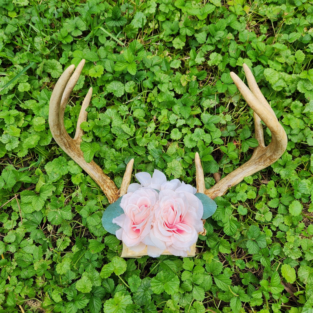 Floral Antler Skull Cap Wall Decor Real Antler With Faux Flowers European Taxidermy Buck's Skull