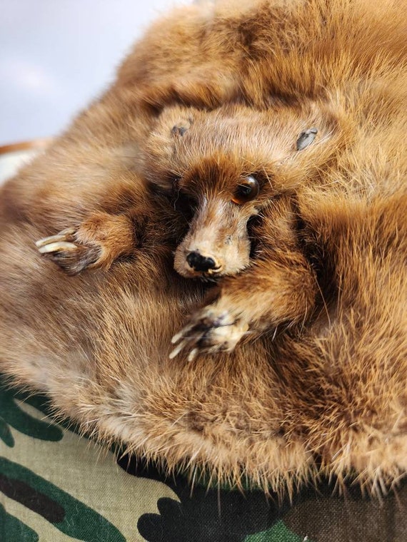 Real Antique 1930s Mink Fur Stole With Face and Paws Cursed Real Antique 1930s Mink Fur Stole With Face and Paws Cursed