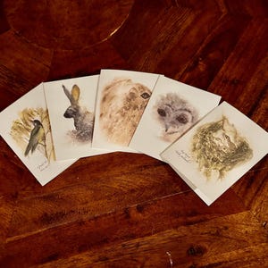 Cartes de correspondance Woodland assorties