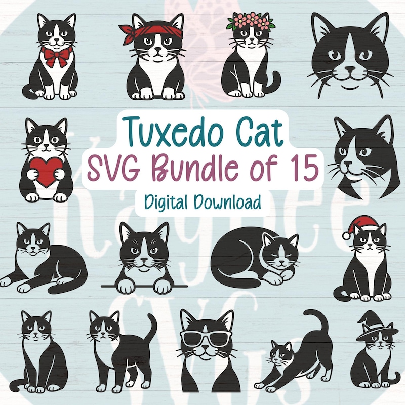 Tuxedo Cat Art - Etsy
