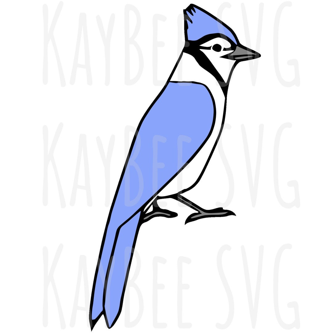 Blue Jays Bird vector Silhouette Svg file