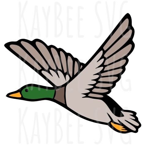 Mallard Duck SVG PNG JPG Clipart Digital Cut File Download for - Etsy