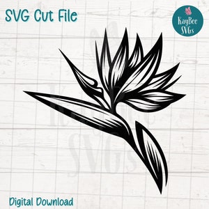 Oiseau de paradis fleur SVG coupe fichier pour Cricut, Silhouette, téléchargement numérique, clipart imprimable, tout usage commercial, clipart, pochoir laser