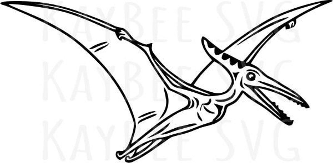 Design PNG E SVG De Ilustração De Dinossauro Pterodáctilo Para