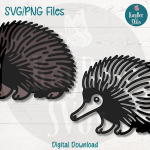 Echidna SVG PNG Schnittdateien für Cricut, Silhouette digitaler Download, Lasergravur, Sublimationsdruck, kommerzielle Nutzung Clipart
