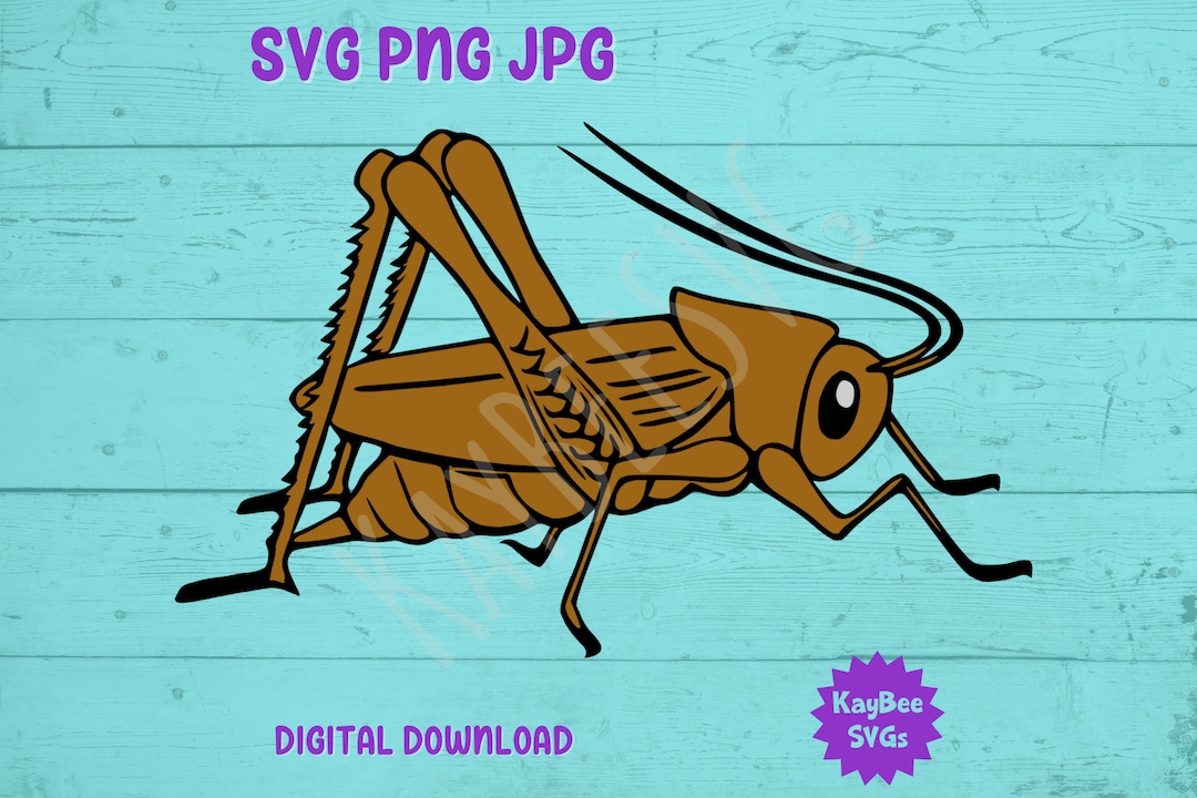 Cricket Insect Bug SVG PNG JPG Clipart Digital Cut File Download for