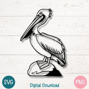 Pelikan SVG PNG, Küstenvogel Silhouette Clipart, Nautische Wildtier Digital Cut Datei für Cricut, Sublimation, Lasergravur, printable Art