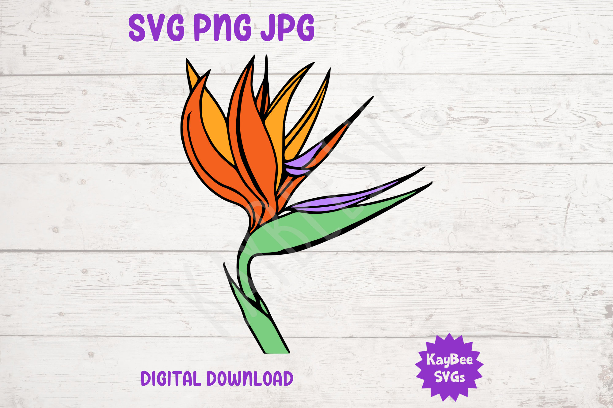 Bird of Paradise Flower SVG PNG JPG Clipart Digital Cut File Etsy