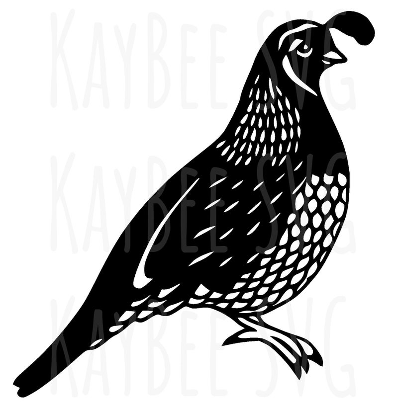 Quail Bird SVG PNG JPG Clipart Digital Cut File Download for - Etsy