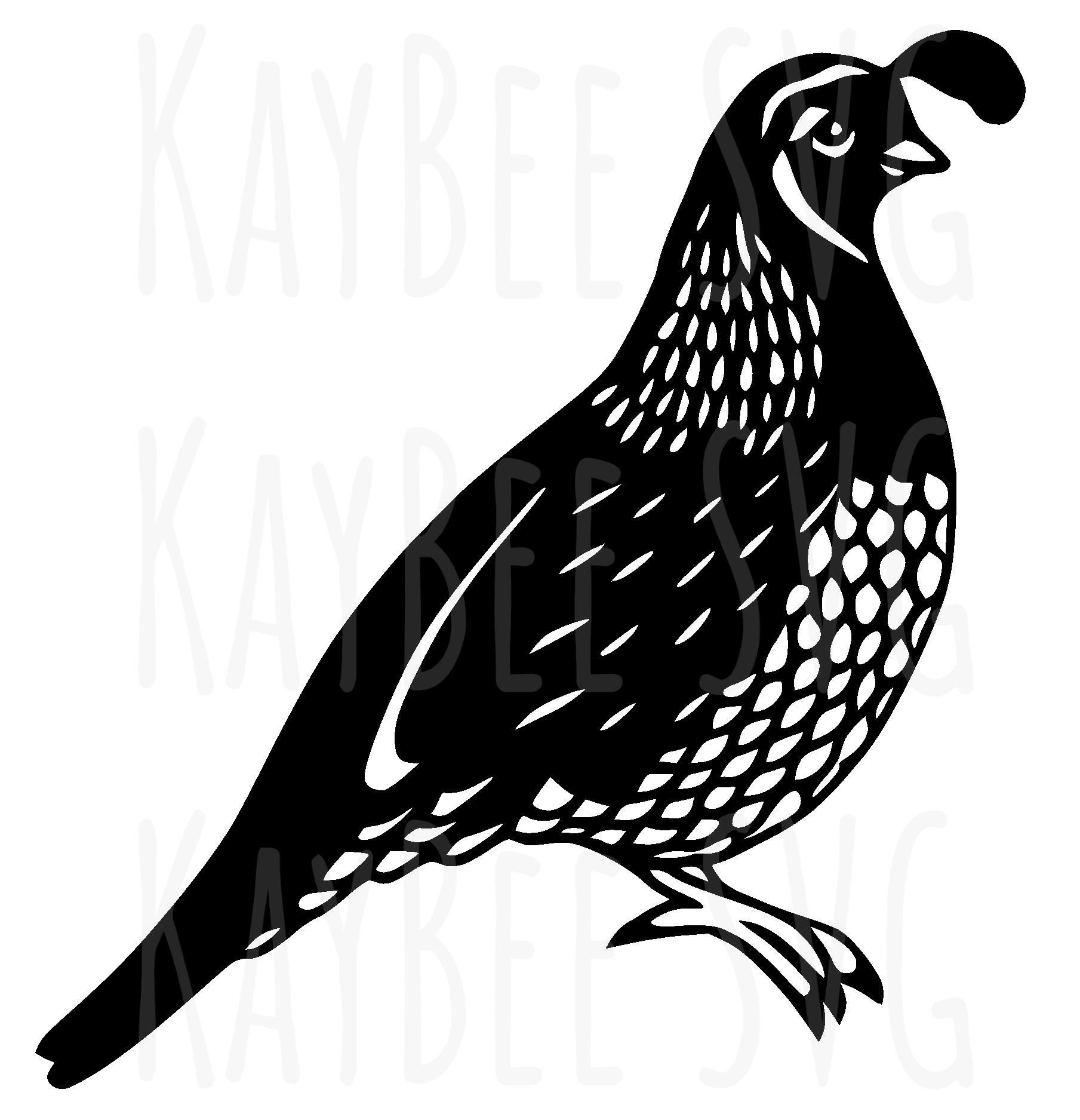 Clipart Quail