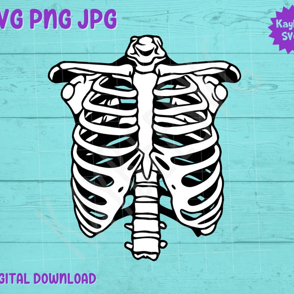 Human Skeleton Ribcage SVG PNG JPG Clipart Cut File Download for Cricut Silhouette Sublimation Printable Art - Commercial Use