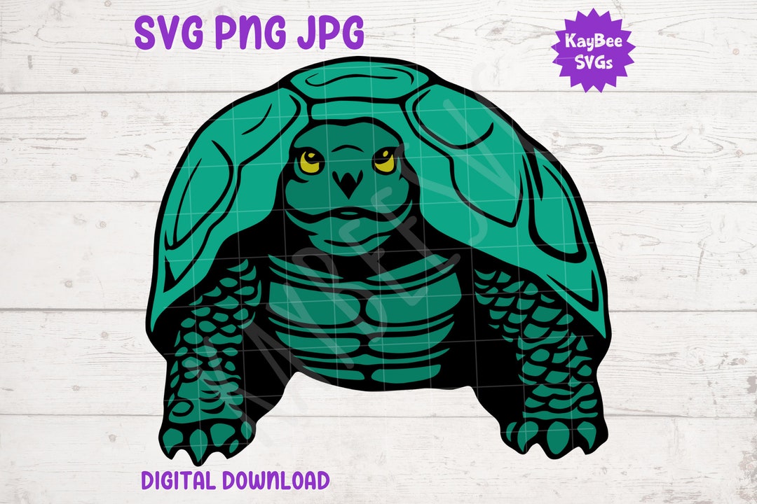 Tortoise SVG PNG JPG Clipart Cut File Download for Cricut - Etsy