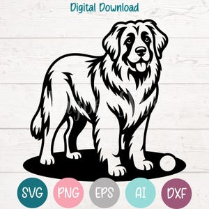 Leonberger hond SVG PNG-bestanden knippen voor Cricut, silhouet digitale download, lasergravure, afdrukbare sublimatie, commercieel gebruik clipart