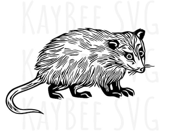 Opossum Possum SVG PNG JPG Clipart Digital Cut File Download - Etsy Israel