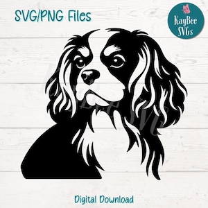 Cavalier King Charles Spaniel Portrait SVG PNG Archivos de corte para Cricut Silhouette Descarga digital, grabado láser, sublimación imprimible