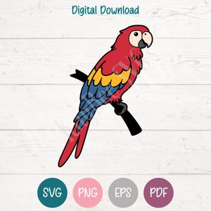 Scarlet Macaw SVG PNG Clipart Cut Files for Cricut, Silhouette, Laser Engraving, Sublimation (Digital)