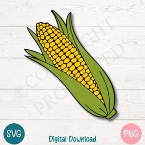 Maïskolven SVG PNG-bestanden knippen voor Cricut, silhouet digitale download, lasergravure, afdrukbare sublimatie, commercieel gebruik clipart