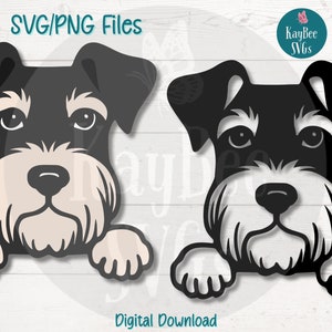 Gluren Schnauzer hond SVG | PNG-bestanden knippen voor Cricut, silhouet, digitale download, afdrukbare clipart, illustraties voor commercieel gebruik, sublimatie