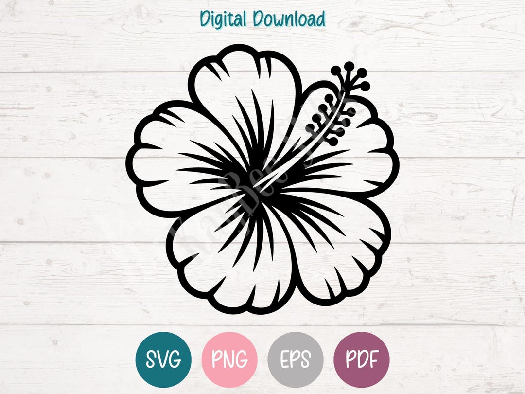 Hibiscus Flower SVG PNG Clipart Cut Files for Cricut, Silhouette ...