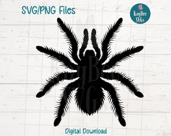Tarantula Spider SVG PNG Cut Files for Cricut, Silhouette Digital Download, Laser Engraving, Sublimation Printable, Commercial Use Clipart