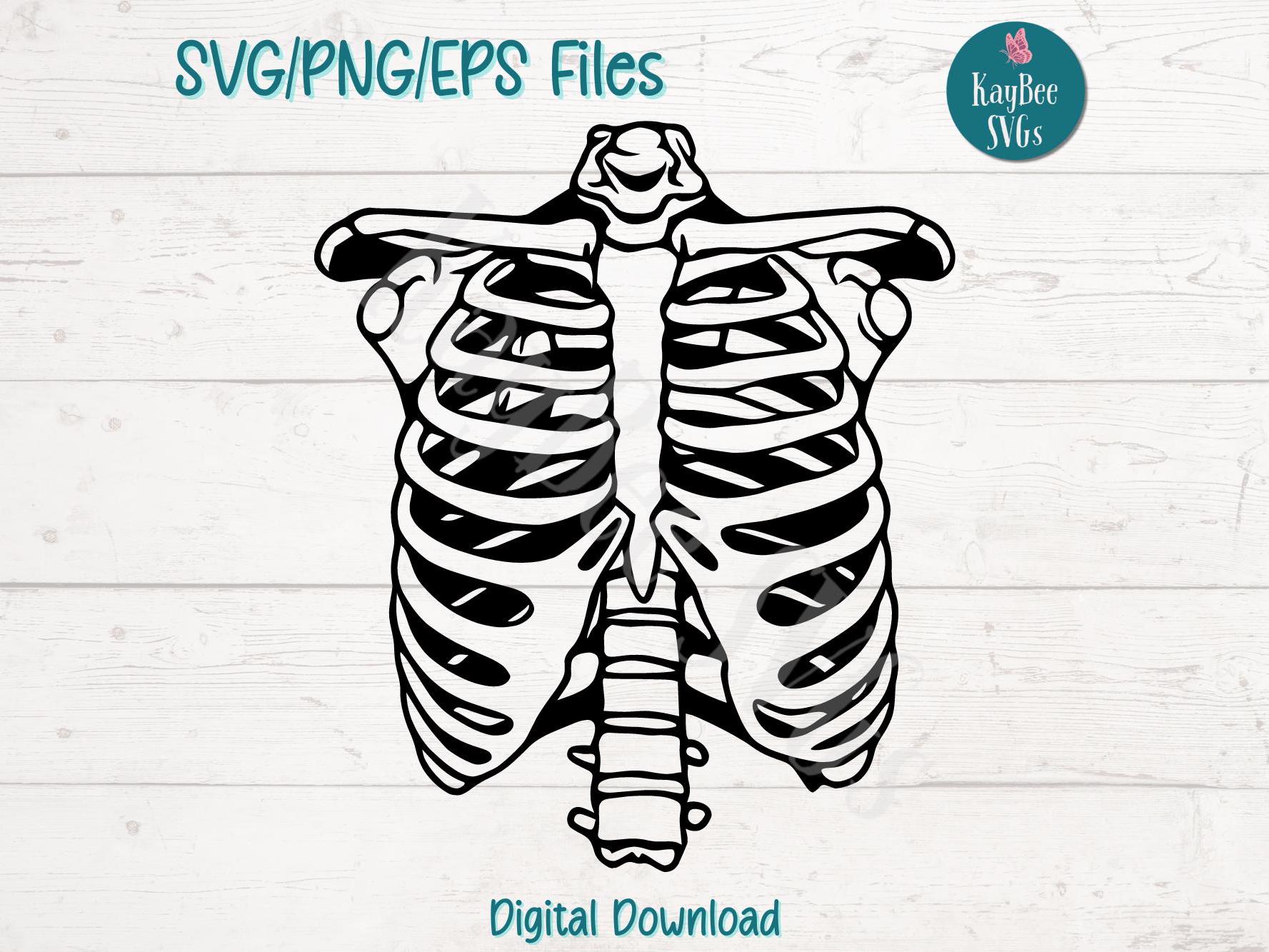 human-skeleton-ribcage-svg-png-eps-cut-files-for-cricut-silhouette-digital-download-printable-clipart-commercial-use-clip-art-etsy