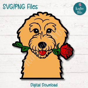Goldendoodle con rosa SVG PNG Razza di cane carina Clipart per amanti degli animali Artigianato / File di taglio per Cricut, Silhouette, Incisione laser, Sublimazione