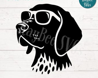 German Shorthaired Pointer with Sunglasses SVG, PNG, Cricut, Silhouette (Digital)