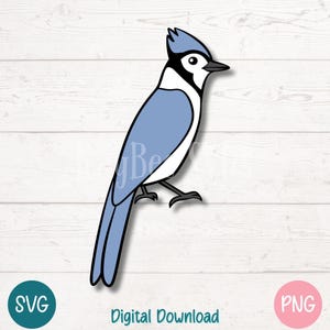 Blue Jay SVG PNG Cute Bird Line Art for Nature Crafts and Wildlife Decor | Cut Files for Cricut, Silhouette, Sublimation, Laser Engraving