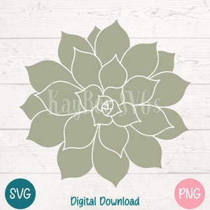 Suculenta SVG PNG con roseta verde salvia para manualidades florales y de jardín / Archivos de corte para Cricut, Silhouette, sublimación y grabado láser