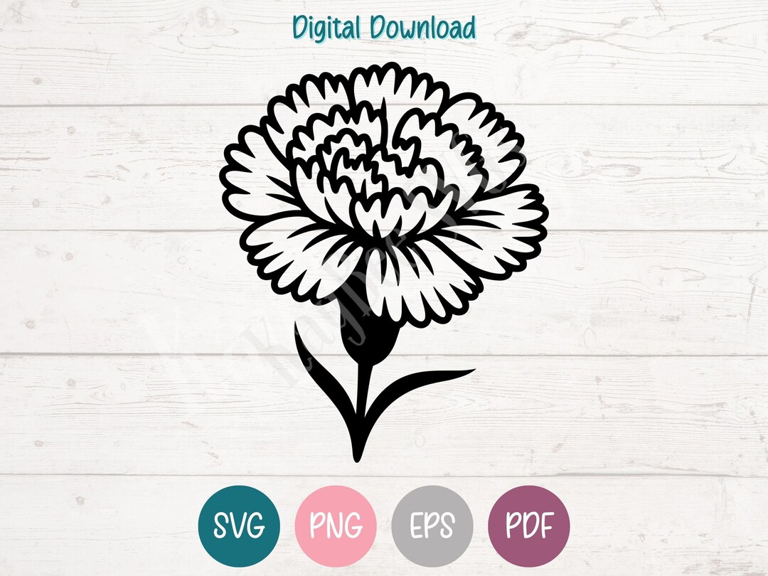 Carnation Flower SVG PNG Clipart Cut Files for Cricut, Silhouette ...