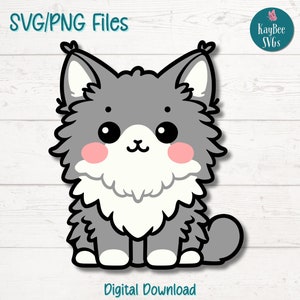 Süße Maine Coon Katze SVG PNG Schnittdateien für Cricut Silhouette digitaler Download, Lasergravur, Sublimationsdruck, kommerzielle Nutzung Clipart