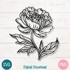 Pioenroos SVG bloemoverzicht png, enkele bloei lijntekeningen clipart met bladeren en stengel voor ambachten en geschenken | Bestanden knippen voor Cricut, Silhouette