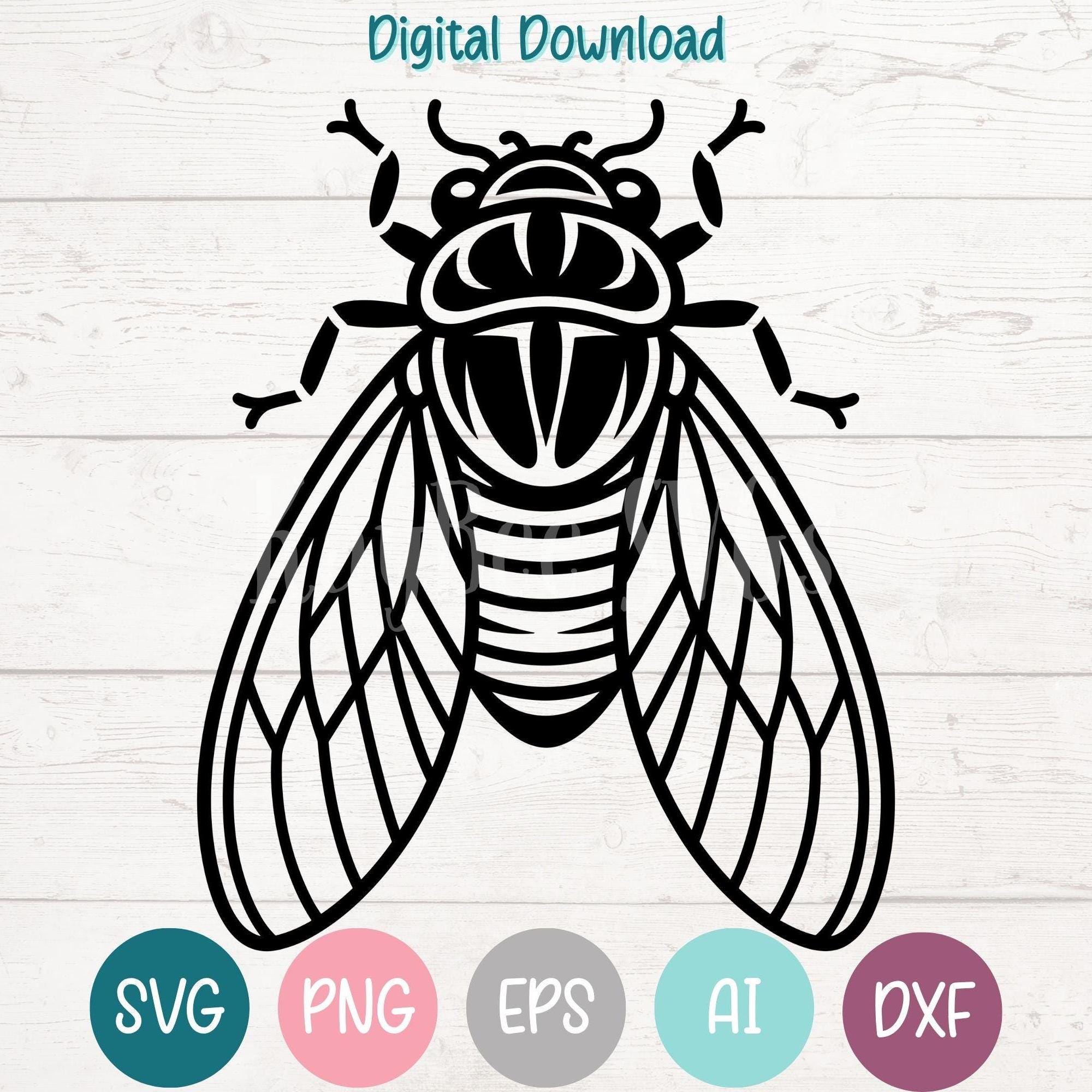 Cicada SVG Cut Files, Laser Engraving Clipart (digital) - Etsy