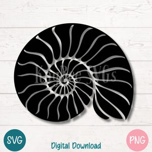 Conchiglia Nautilus SVG PNG Clipart, File di taglio digitale di conchiglia a spirale per Cricut, Silhouette, Sublimazione, Incisione laser, Clipart stampabile