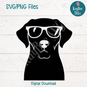 Cool Labrador Dog SVG PNG with Sunglasses – Funny Pet Clipart for Summer Crafts, Decals, Shirts, and Sublimation Projects | Cricut Cut File
