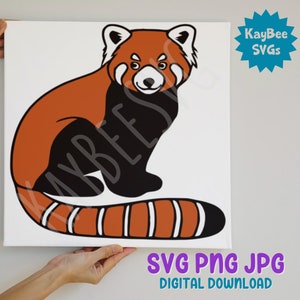 Red Panda SVG PNG JPG Clipart Digital Cut File Download for - Etsy