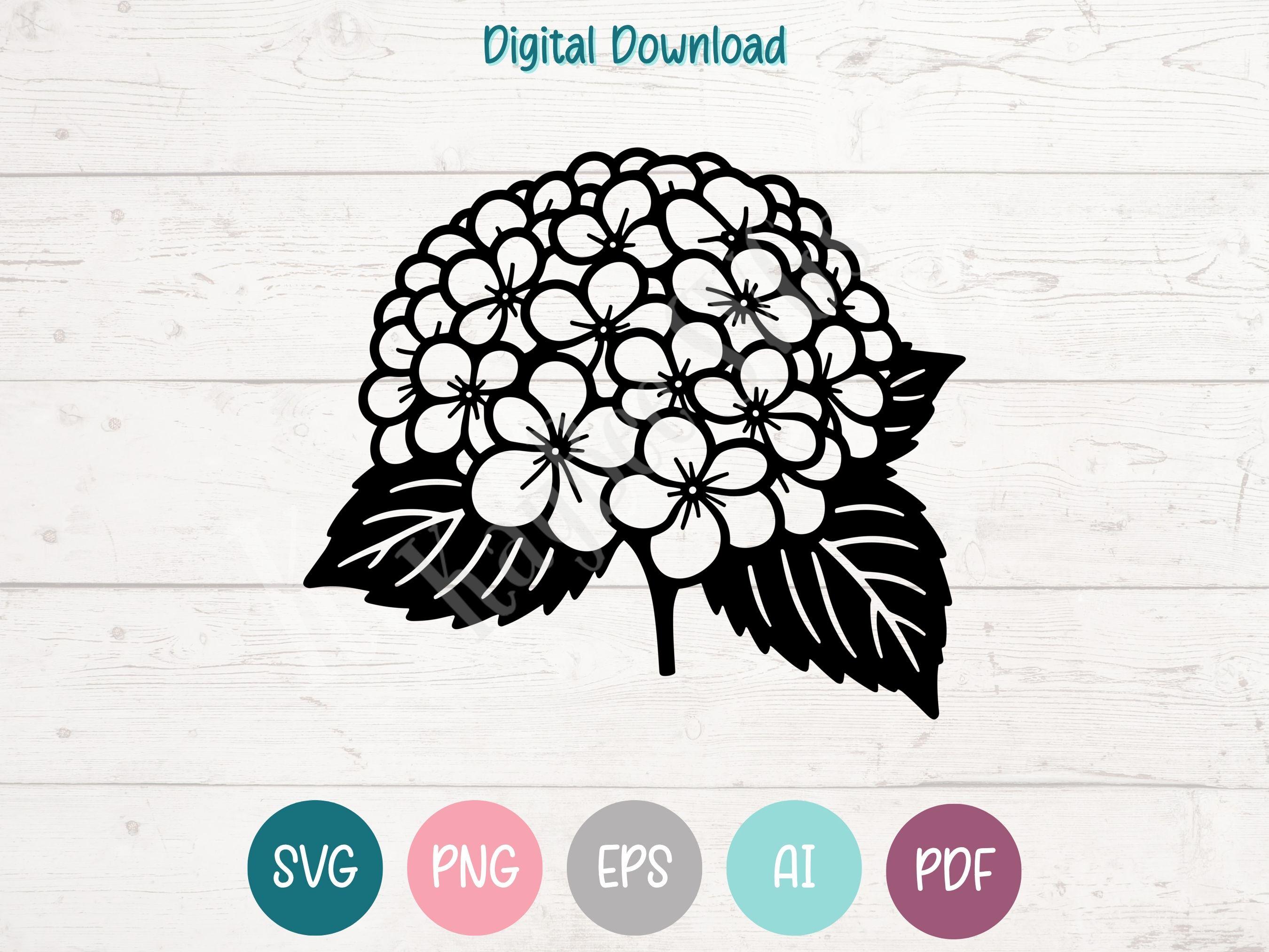 Hydrangea Flower SVG PNG Clipart Cut Files for Cricut, Silhouette